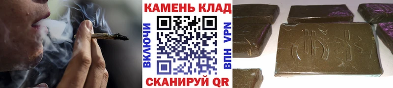 продажа наркотиков darknet телеграм ГАШИШ индика сатива Всеволожск