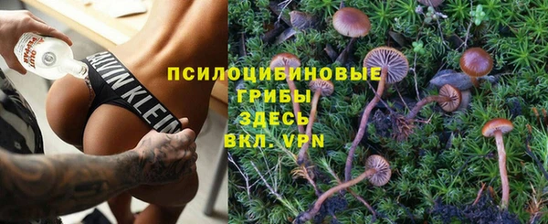 спиды Белоозёрский